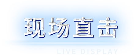 佰富彩-清静购彩大厅官网