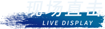 佰富彩-清静购彩大厅官网
