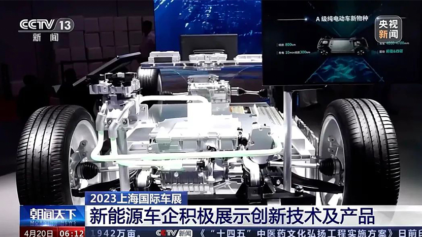 佰富彩-清静购彩大厅官网