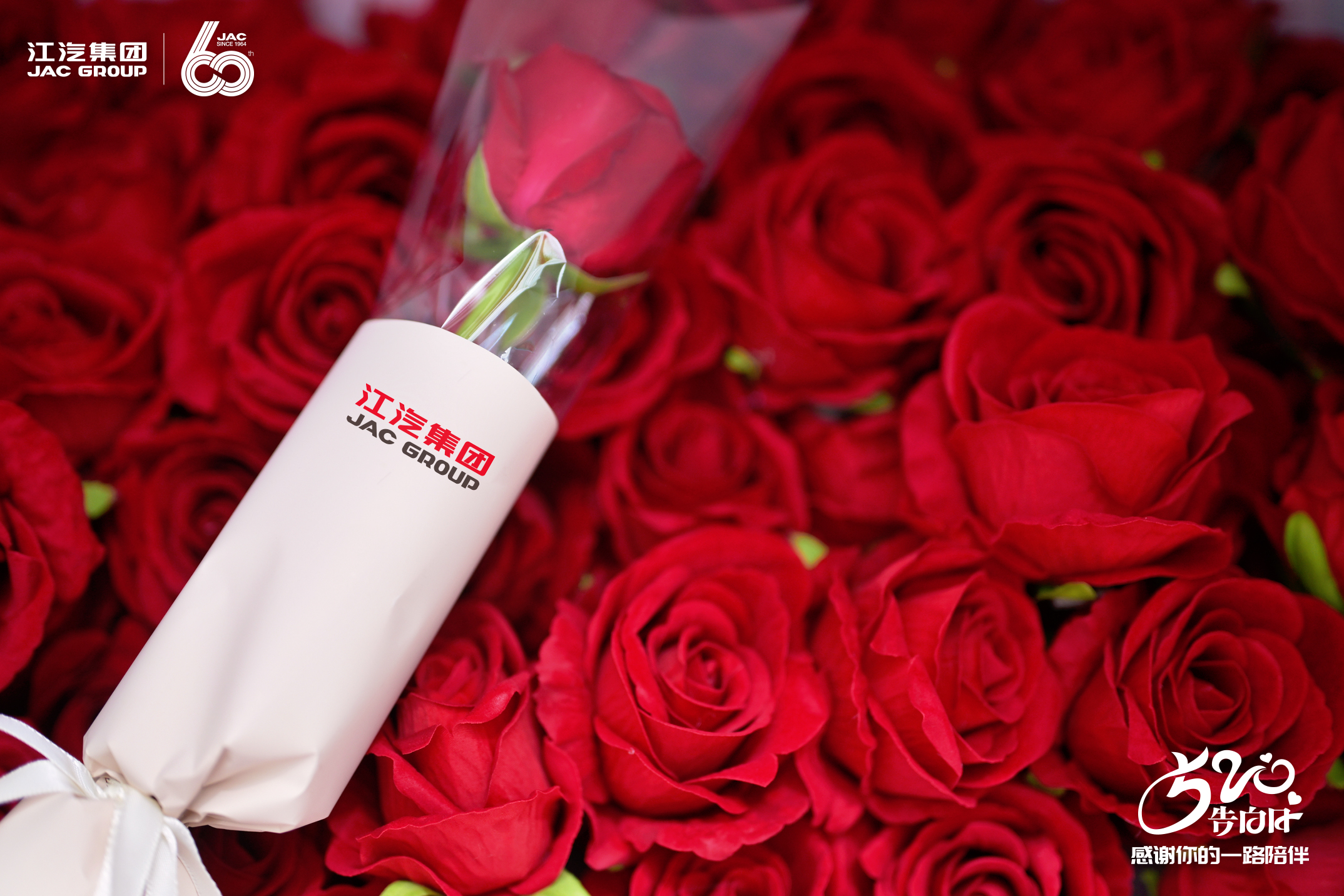 佰富彩-清静购彩大厅官网