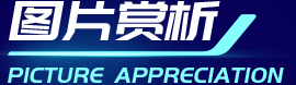 佰富彩-清静购彩大厅官网