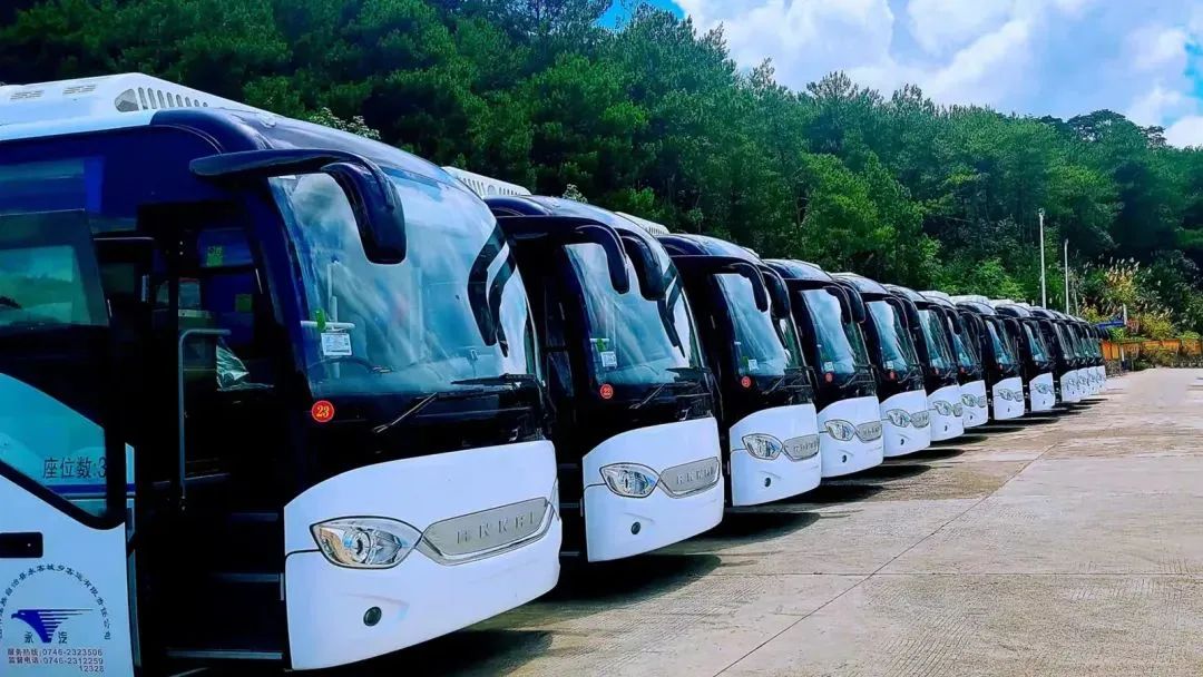 佰富彩-清静购彩大厅官网